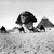 أبو الهول. Sphinx. Sphinx. 1850 Year