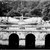 Nîmes. Jardins de la Fontaine