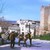 Burros en el Palacio de los condes de Maqueda en Toledo