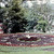 Székesfehérvár, Országzászló tér, Virágóra