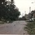 Nacton Road - hurricane aftermath